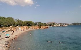 Lovely 1-Bedroom 2 Minutes From Beach