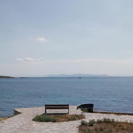 Lovely 1-Bedroom 2 Minutes From Beach Αθήνα Εξωτερικό φωτογραφία