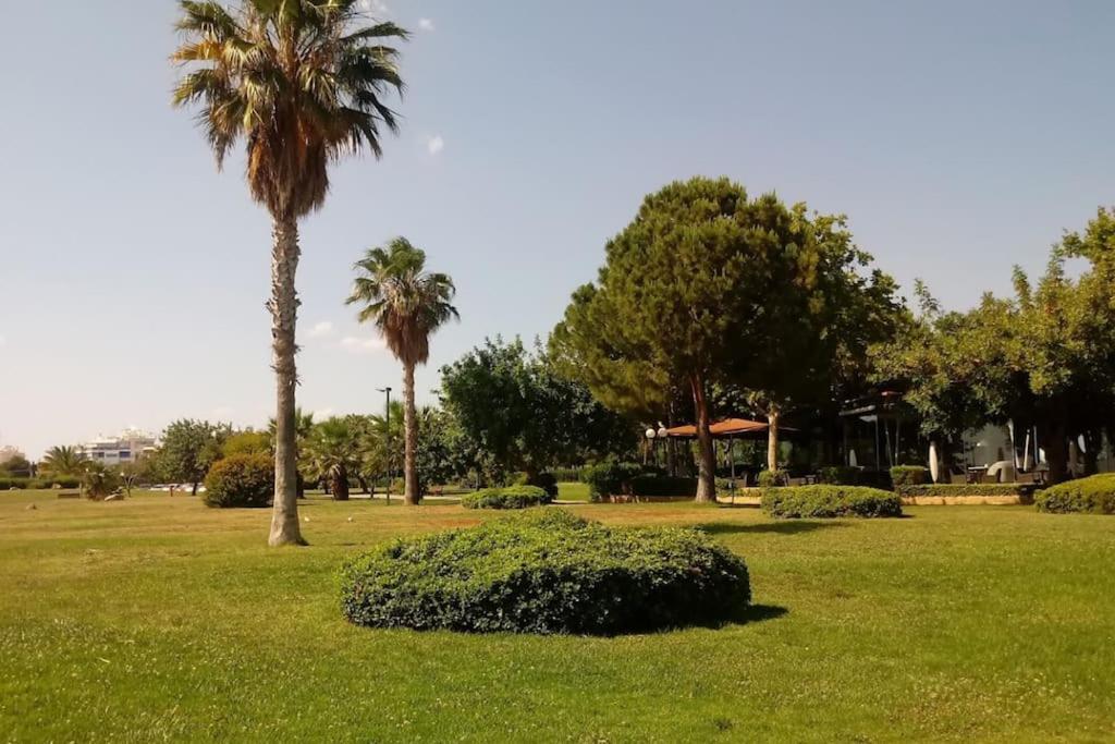 Lovely 1-Bedroom 2 Minutes From Beach Αθήνα Εξωτερικό φωτογραφία